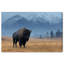 Mountain Bison I Print by Oliver Gal-101198000-101198001