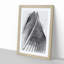 Sketching the Architecture Vol.59 - Picture Frame Drawing Print-55733402-55733403