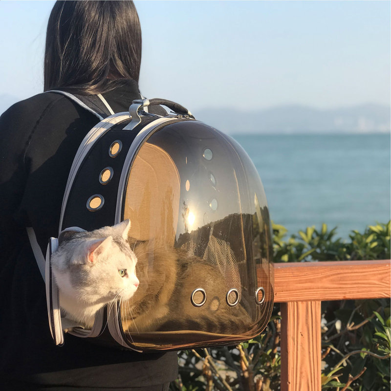 Sac à dos de transport pour chat Tint Brown à fenêtre transparente et extension dorsale, jusqu'à 5,4 kg, Medium, Brown