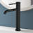 Bathroom Faucet-117496309