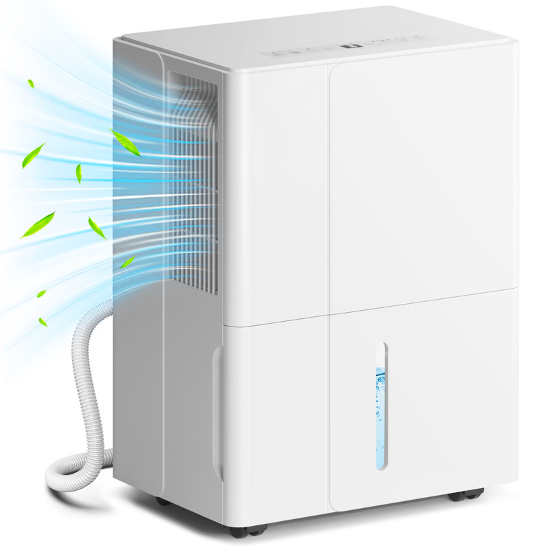 Quierra Dehumidifier