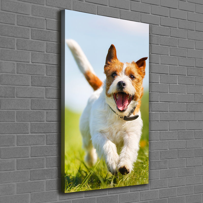 Dog Jack Russell - Wrapped Canvas Print