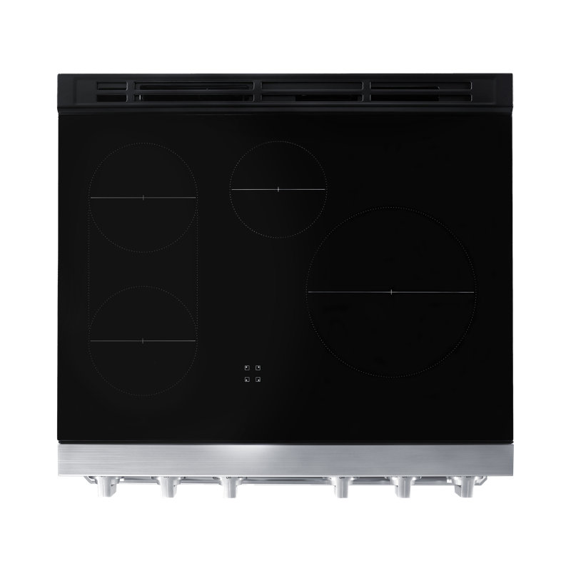 30" Pro-Range 4 Burners, Transitional, Silver, NG/LP, Induction