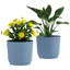 Pot Planter-1092481237-1092481234
