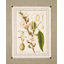 Green Spruce Artificial Christmas Tree-1887391461