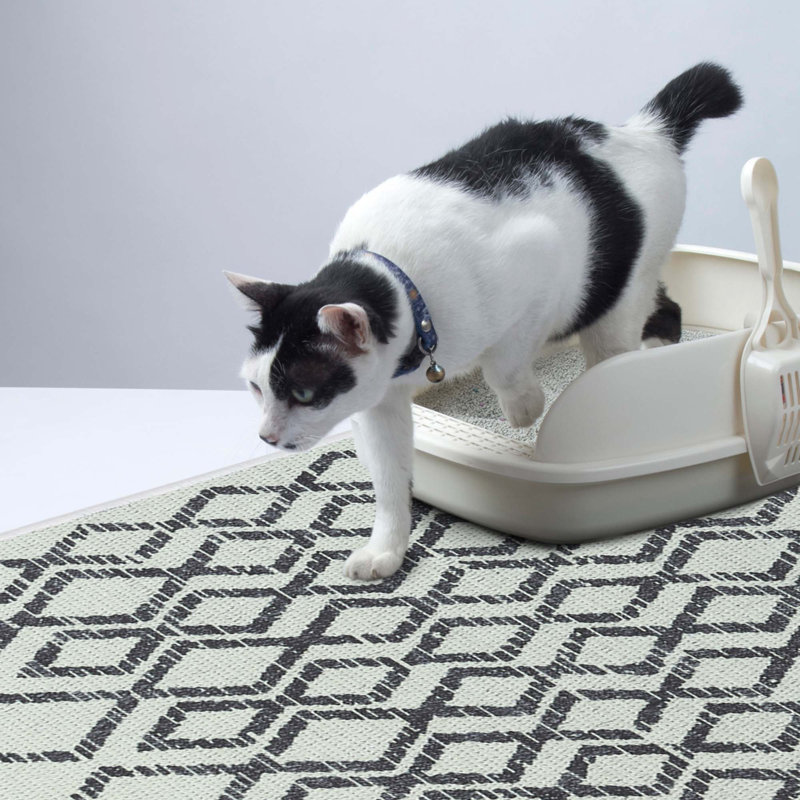 Tapis de litière, H 0,25 po x l 31,5 po x P 20 po