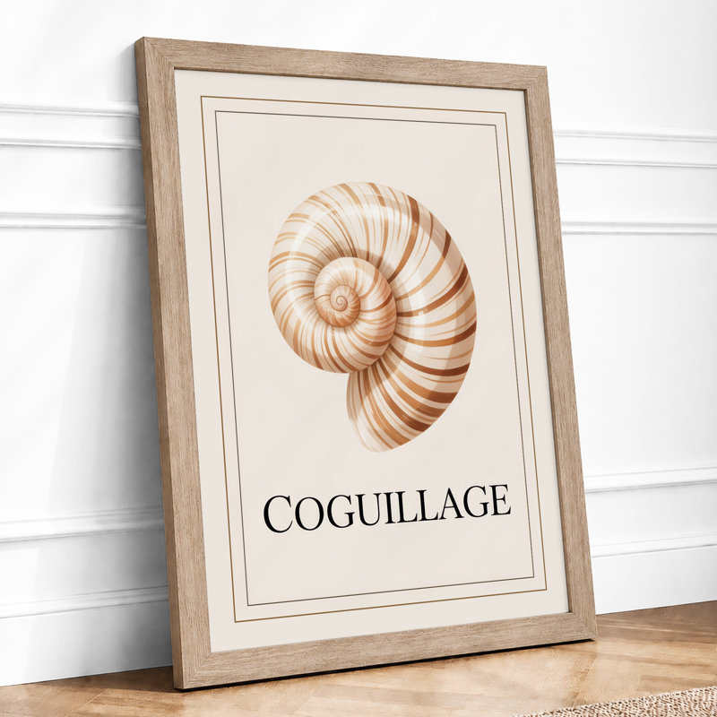 Chambered Nautilus Shell Vintage - Print, A1 - 84.1 x 59.4 cm, Oak