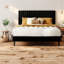 Lit Queen Size, cadre en métal recouvert de velours, chambre moderne et ajustable-1173038119