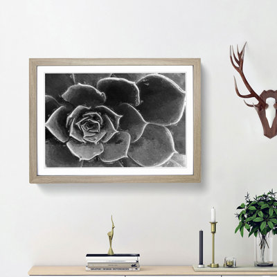 Succulent Plant - Picture Frame Painting Print