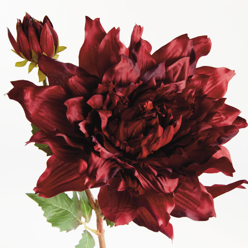 Tige de dahlia 21,5 po, Grenat