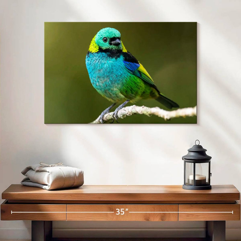 Brampt Green Headed Tanager, 16" H x 24" W