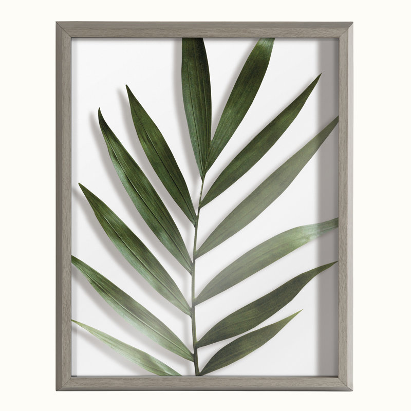 Art mural en verre Botanical 5F par Amy Peterson, Gris, 16 po x 20 po