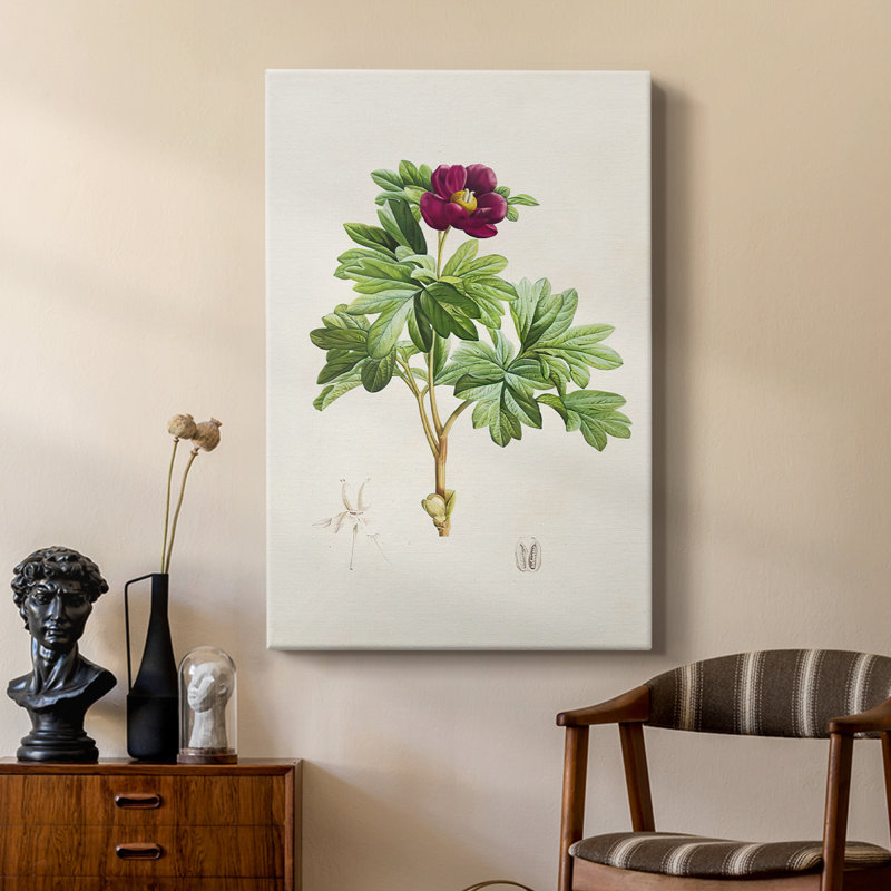 Pretty Pink Botanicals III - Gallery Cavas, H 18 po x l 12 po