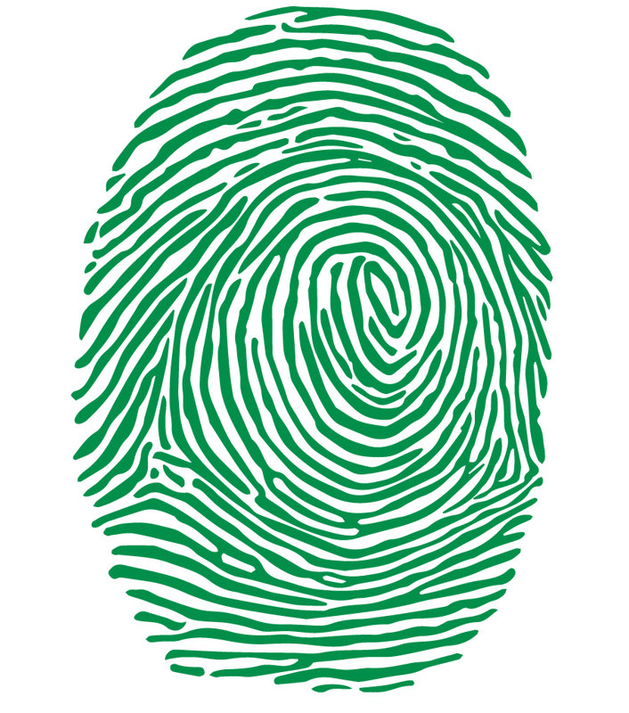 Décalcomanie murale à empreinte digitale, Vert clair, H 30 po x l 21 po x P 0,01 po
