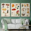 " Mushroom Species VI " 3 - Pieces-91891306-91891308