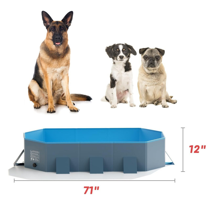 PVC,PE Square Pet Pool 12'' H x 71'' W x 39'' L, Blue/Dark Grey
