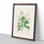 Pompon Roses by Pierre-Joseph Redoute - Framed Print-55601498-55601505