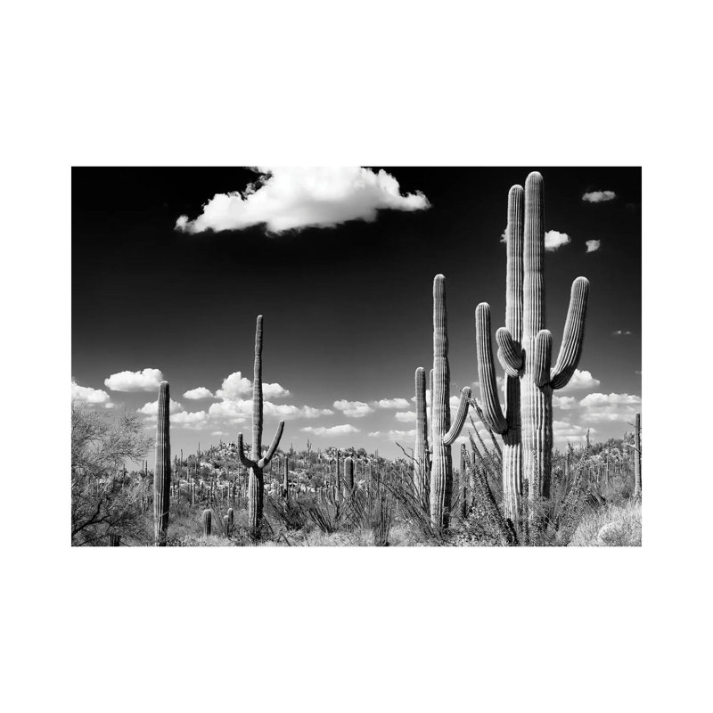Black Arizona Series - Saguaro Cactus Desert 1 Piece Wrapped Canvas Wall Art, 20.32 cm H x 30.48 cm W