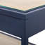 Caanan 48'' W Glass Console Table-1247476985