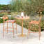 Tabouret de bar extérieur Carmella (ensemble de 2)-502606741