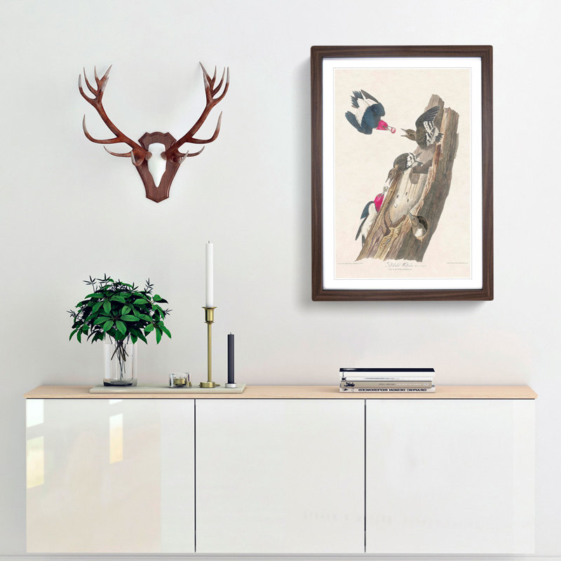 Red-Headed Woodpeckers by John James Audubon - Picture Frame Painting Print, 36cm H x 27cm W x 2cm D, Walnut Framed