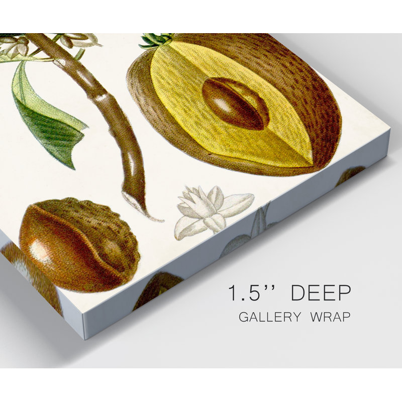 «Turpin Tropical Fruit VI», reproduction d'art sur toile tendue, H 12 po x l 8 po x P 1 po
