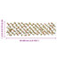 Chaena Lattice Panel-1490977573