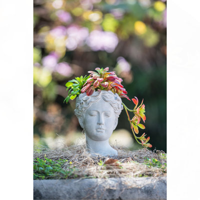 Jardinière en ciment de style grec - décoration de jardin intérieur et extérieur, P 6 po x 9 po