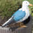 Rebbecca Gull Statue