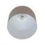 1 - Light Pendant