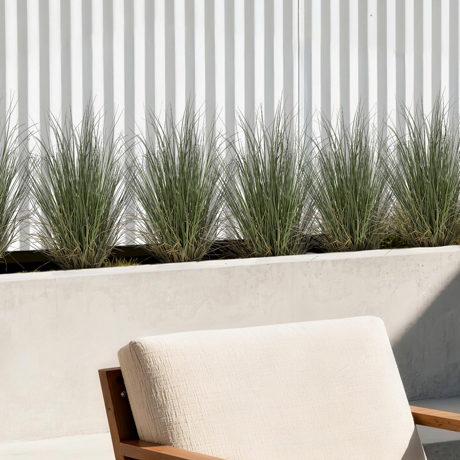 48" Onion Grass in Pot, 48