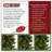 Downswept DouglasFir Tree with Dual Color LED Lights-1740809304-1709394171