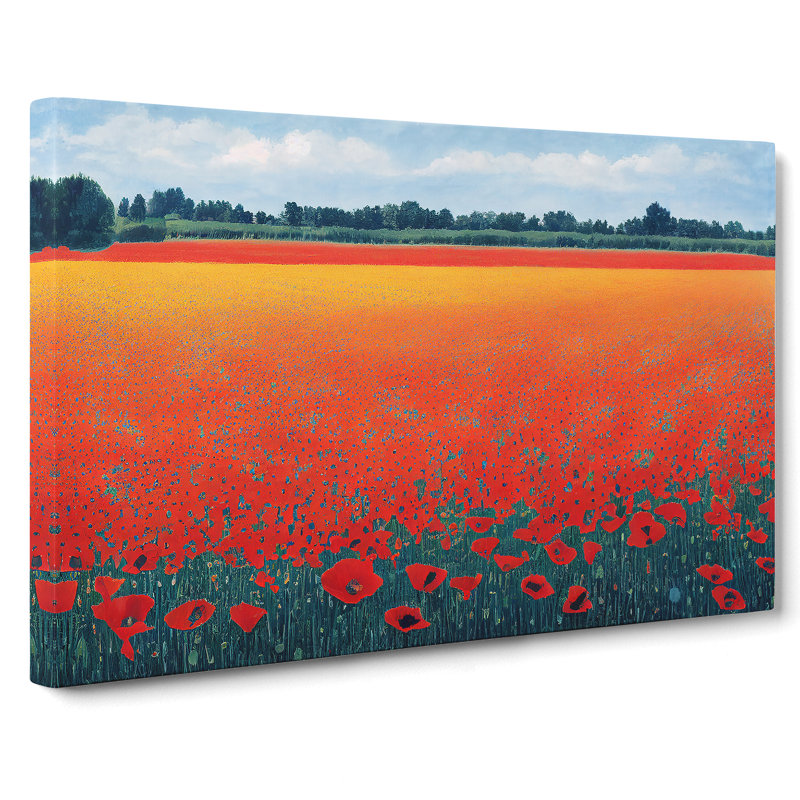 Fantastic Poppy Field Flowers - Wrapped Canvas, 50cm H x 76cm W x 3cm D