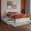 Lit plateforme en bois massif avec lit gigogne Lamecia-786355752-786355750