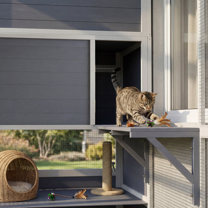 Cat Cage