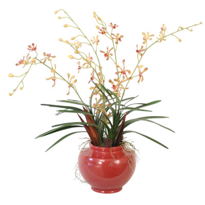 Vanda Orchids, Foliage Mixed with Dried Spiral Cones and Palm Paddles