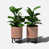 Terracotta/Black selected