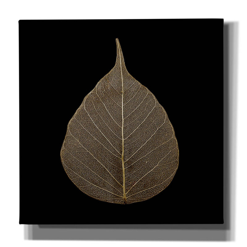 Epic Graffiti «Brown Leaf» par Photoinc Studio, Can «Brown Leaf» par PhotoINC Studio, H 37 po x l 37 po x P 1,5 po