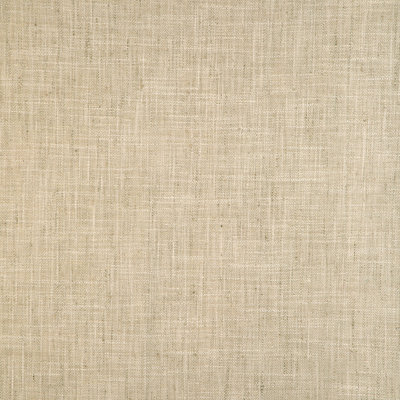 Basics Fabric