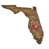 Tampa Baby Buccaneers