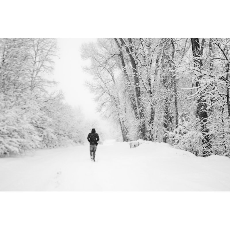 Winter Wonder Land - Photographie sur toile tendue, H 8 po x l 12 po
