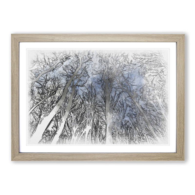 Beautiful Forest Sketch - Picture Frame Graphic Art, 65cm H x 90cm W x 2cm D, Oak