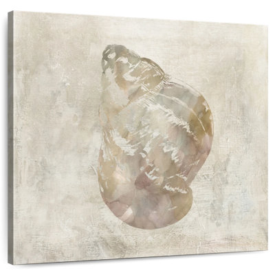 Aletra Seashell Illusion IV