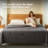 Cooling Comforter, All-Season Lightweight & Breathable Quilt for Hot Sleepers with Q-Max 0.45 Technology, Temperature Regulating Grey Blanket for Night Sweating Relief, Available in Twin-1668828907