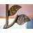 Ashlen Vine Floor Lamp - Oil Rubbed Bronze-80184530