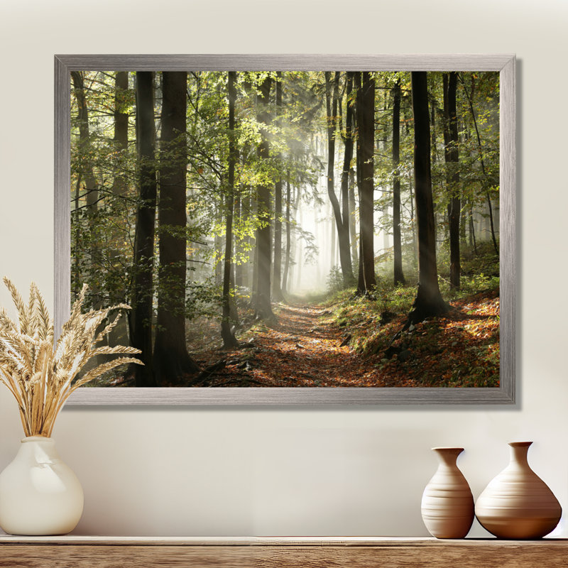 «Green Fall Forest with Sun Rays - Forest», reproduction de photo, H 16 po x l 32 po, Impression encadrée, Argent argent