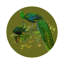 Napperon Family Pheasants-169865163