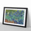 Irises by Vincent Van Gogh - Framed Print-62799954-62799958