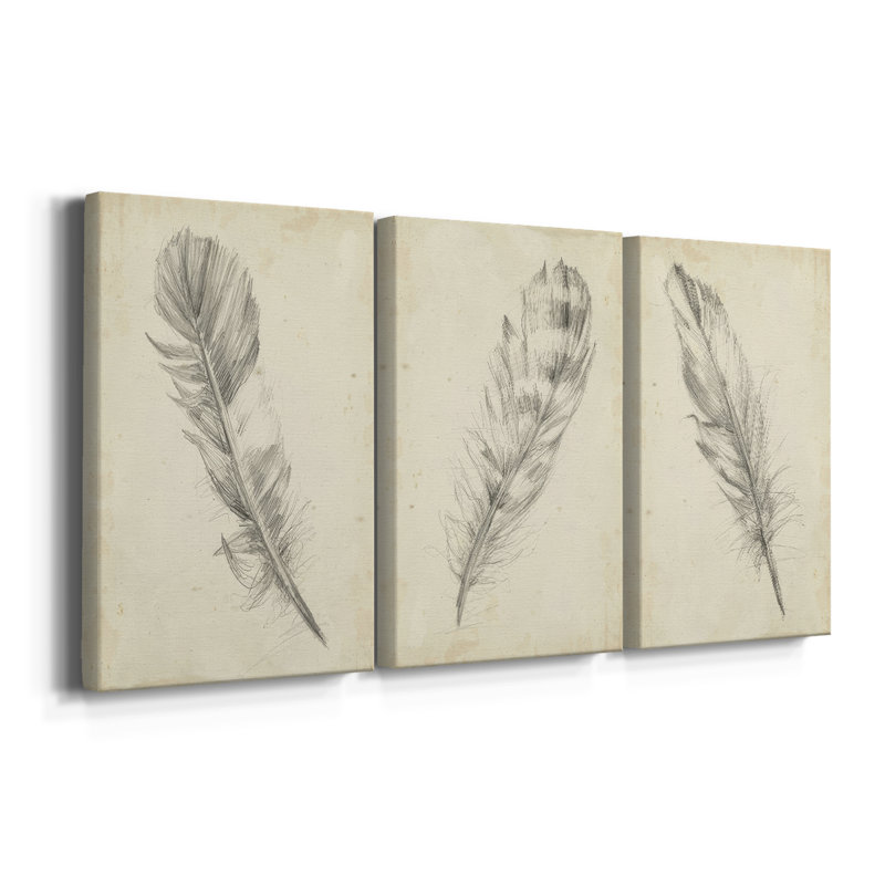 Croquis de plumes I - Toile tendue avec châssis sur mesure - 3 pièces, H 60 po x l 120 po