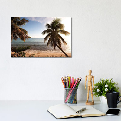 Palm Trees On Beach At Sunset, Culebra Island, Puerto Rico by Panoramic Images - Wrapped Canvas Print